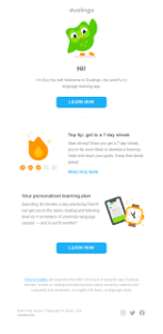Duolingo's Fun Welcome Email - Mailotrix