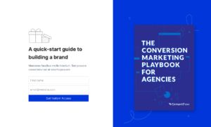 Templates lead magnet example 